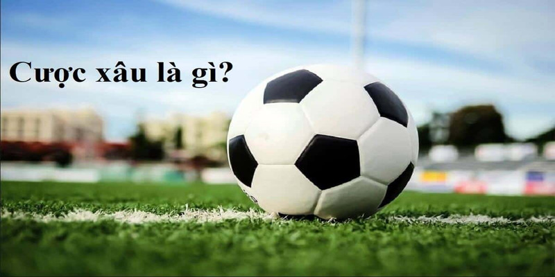 Cược Xâu Là Gì?